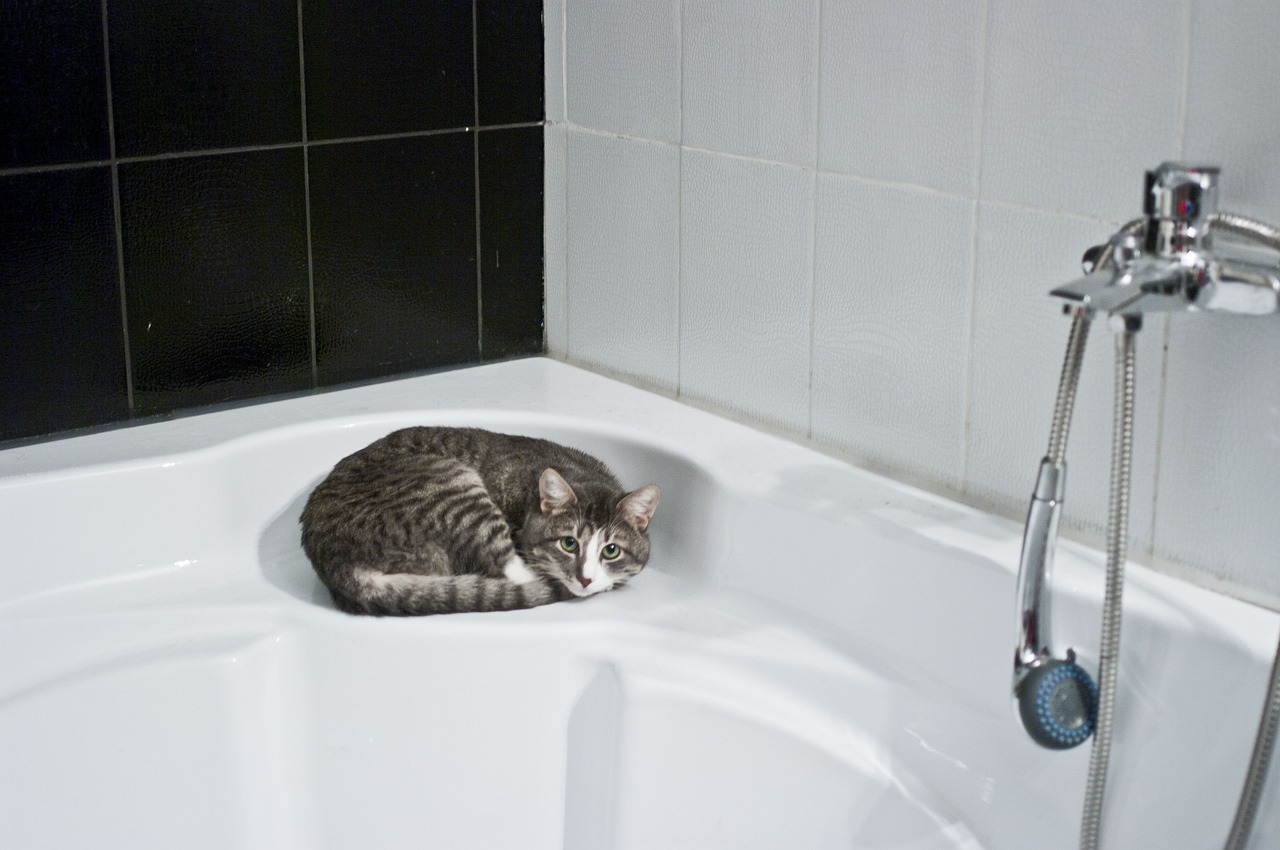 How to Design a Small Bathroom to Maximize Storage and Functionality